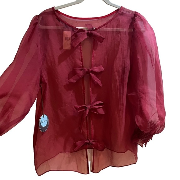 Anthropologie Eva Franco Silk Organza Deep Red Sheer Blouse Balloon Sleeves Sz M - Picture 5 of 12
